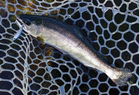 ミノーイングが楽しいフィッシングパーク高島…